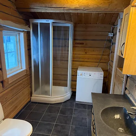 At Fagerasen - 4 Roomed Family For Skiing In טריסיל