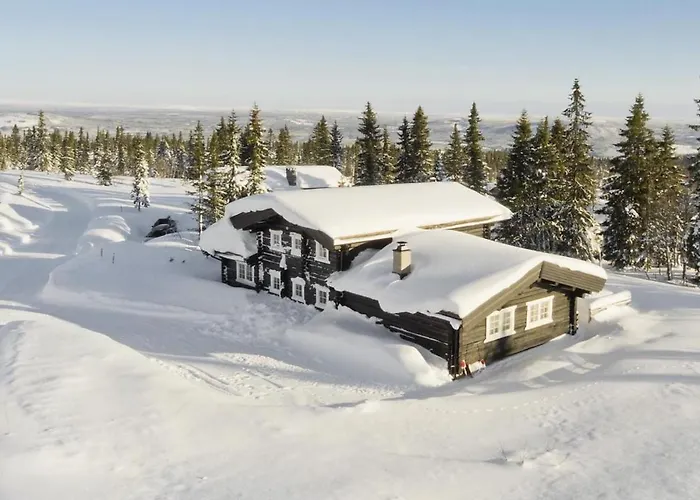 Semesterbostad At Fagerasen - 4 Roomed Family For Skiing In Trysil